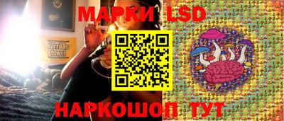 Альфа ПВП Берёзовский