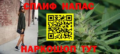 индика Балашиха
