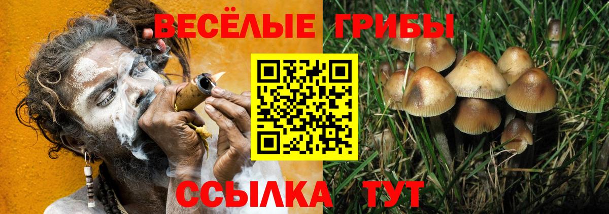 Псилоцибиновые грибы Cubensis  Псилоцибиновые грибы GOLDEN TEACHER  Ачинск  Вход с VPN 